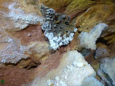 Minerali nella grotta di San Giorgio Martire a Bari